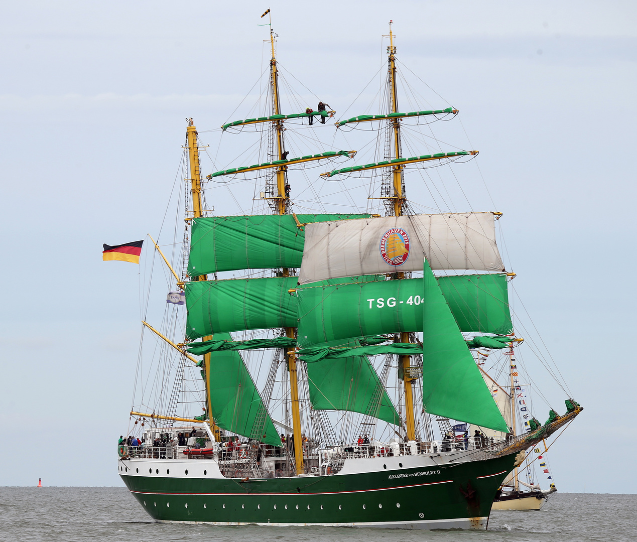 Sail 2015 - Alexander von Humboldt II