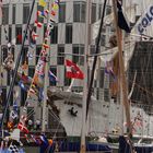 SAIL 2015 *Alle Nationen*