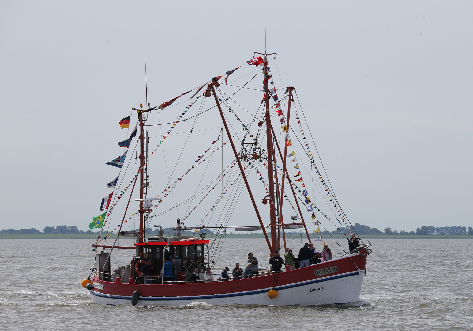 Sail 2015 - Bianca