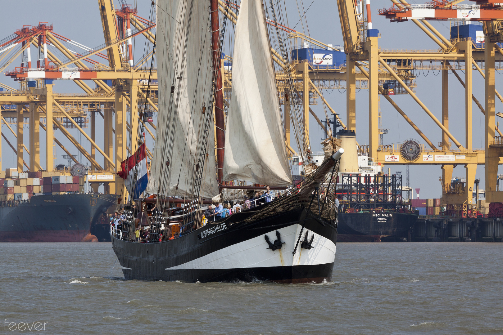 Sail 2015 Bremerhaven