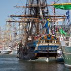 Sail 2015 Bremerhaven: Mastenwald