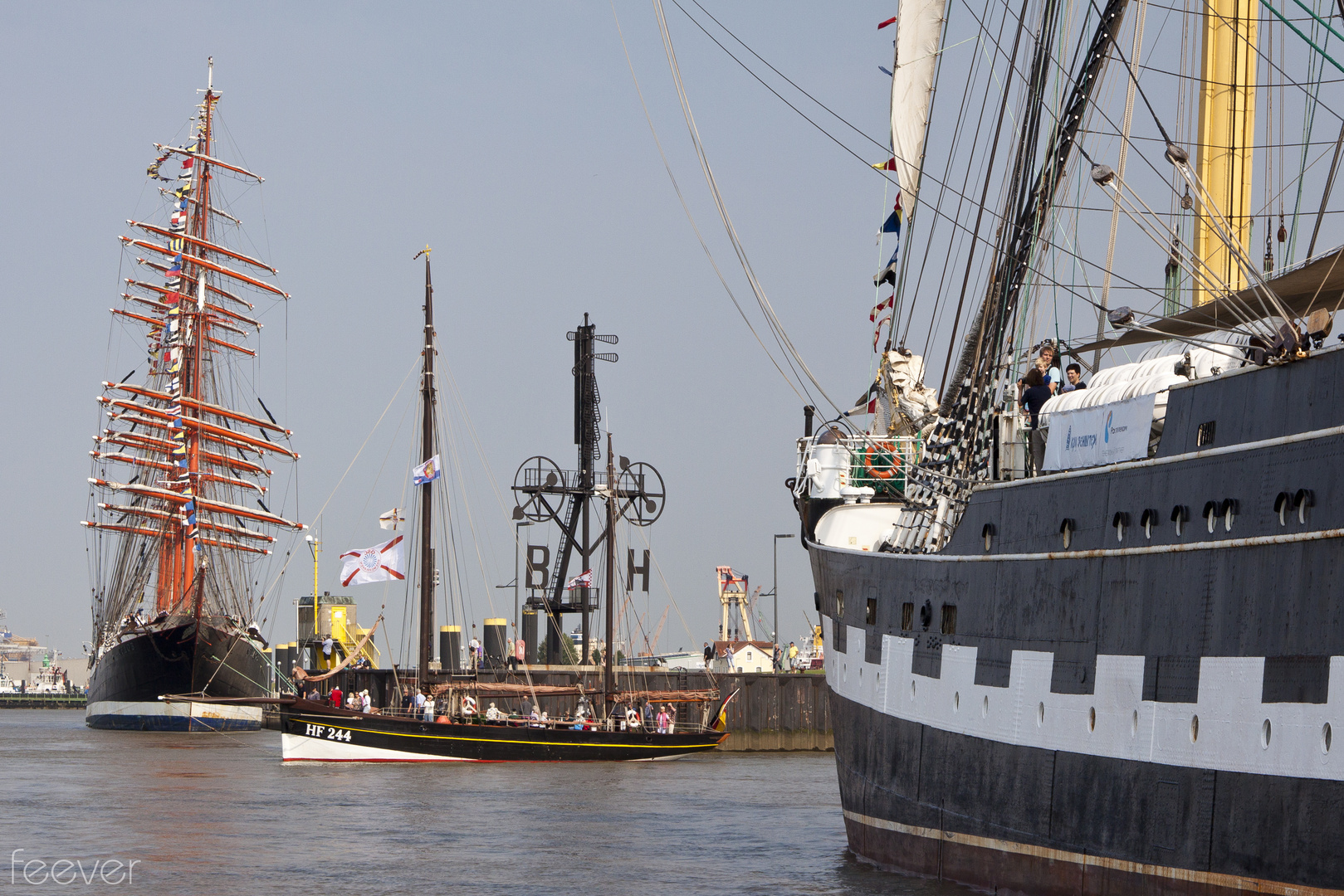 Sail 2015 Bremerhaven: Zwerg und Riesen