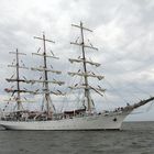 Sail 2015 - Dar Mlodziezy