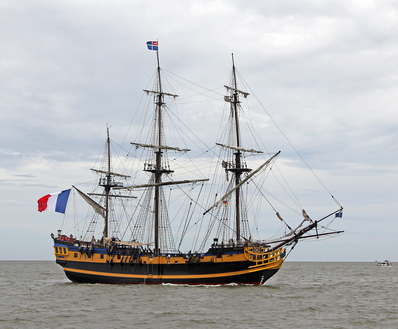 Sail 2015 - Etoile Du Roy