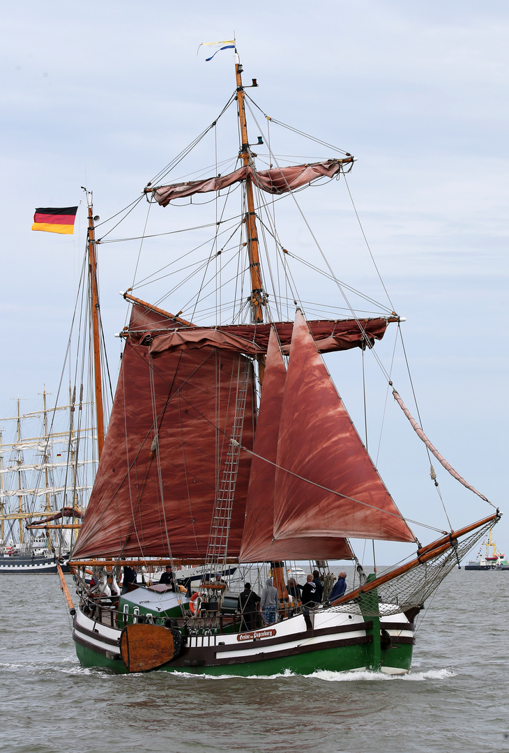 Sail 2015 - Gesine von Papenburg