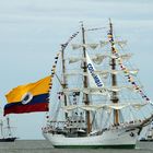 Sail 2015 - Gloria