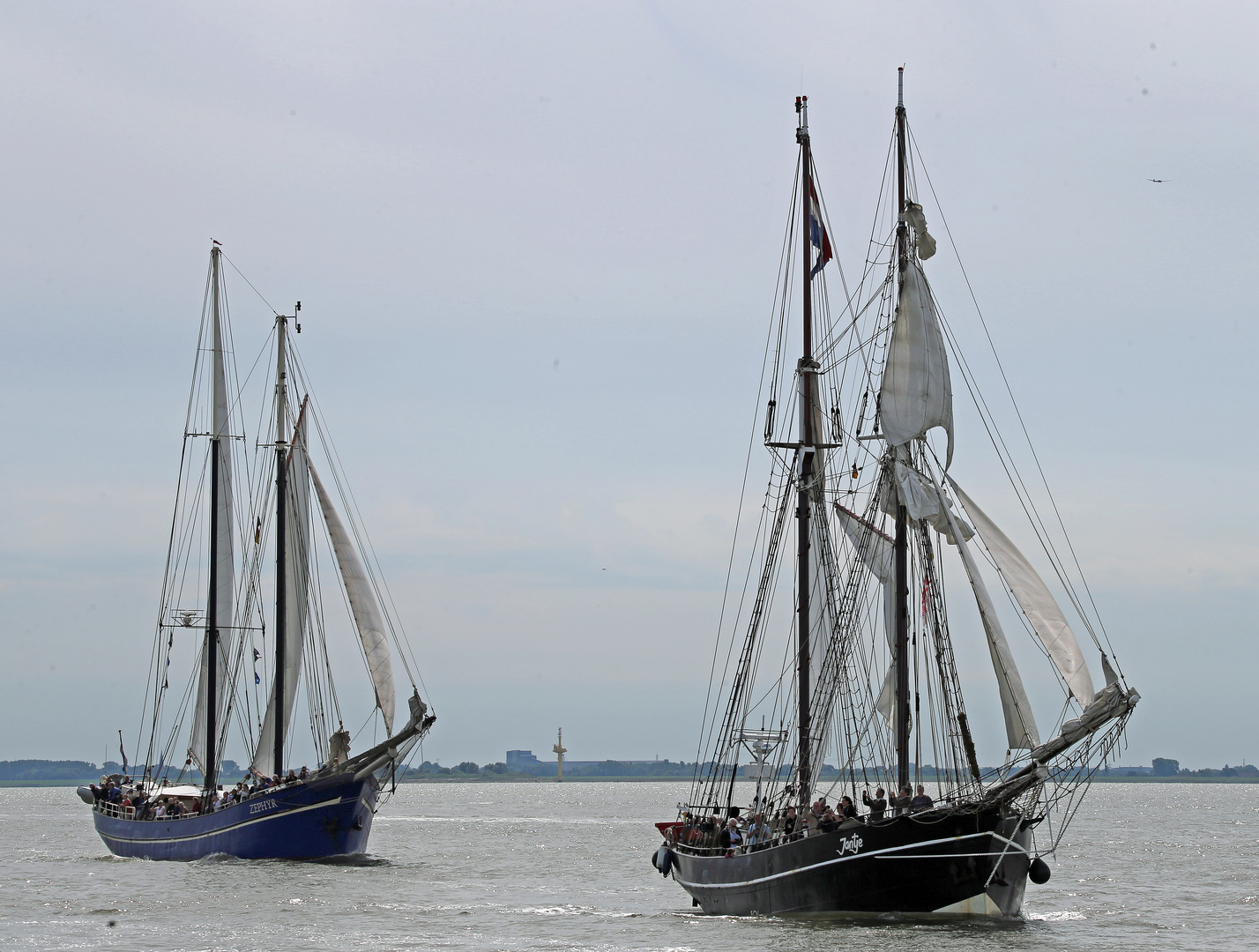 Sail 2015 - Jantje - Zephyr -