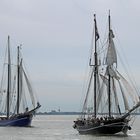 Sail 2015 - Jantje - Zephyr -