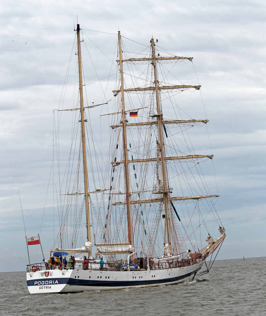 Sail 2015 - Pogoria