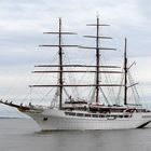 Sail 2015 - Sea Cloud II