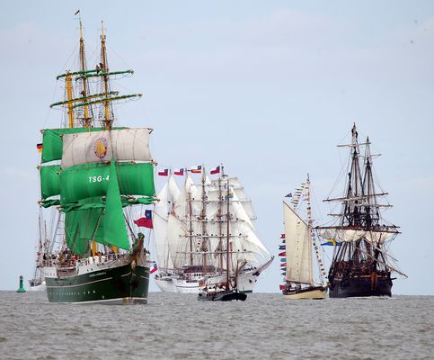 Sail 2015, Start Einlaufparade