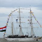 Sail 2015 - Tarangini