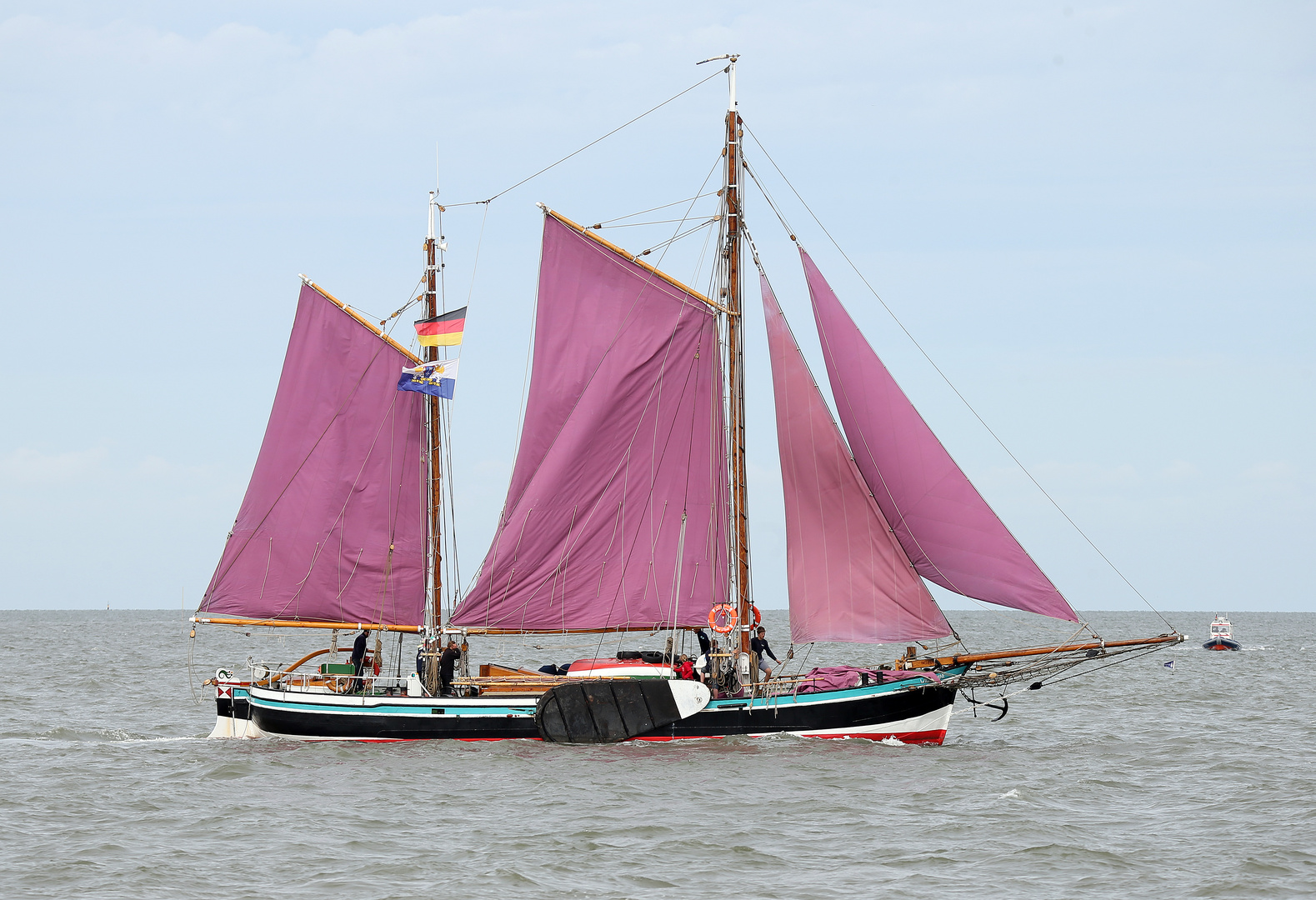 Sail 2015 - Wilhelmine von Stade
