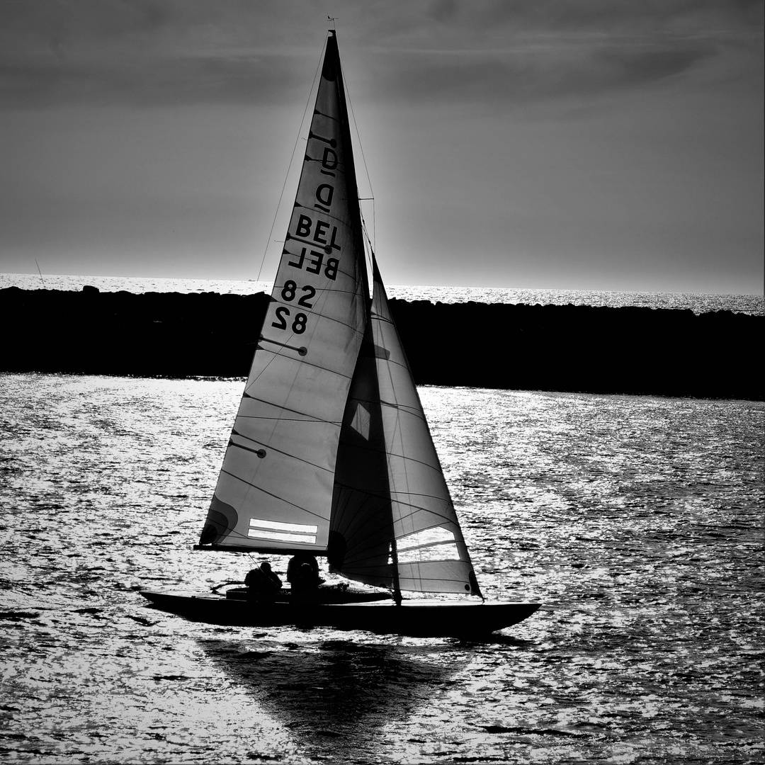 Sail