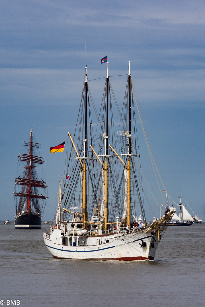 SAIL BREMERHAVEN 2015_12