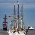 SAIL BREMERHAVEN 2015_12