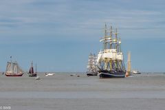 SAIL BREMERHAVEN 2015_3