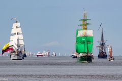 SAIL BREMERHAVEN 2015_7