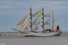 SAIL BREMERHAVEN 2015_9