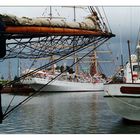 SAIL - Bremerhaven(1)