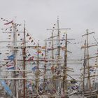 Sail Den Helder