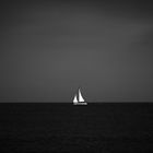 Sail on, lonesome sailor.