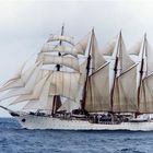 Sail training ship "Esmerelda"