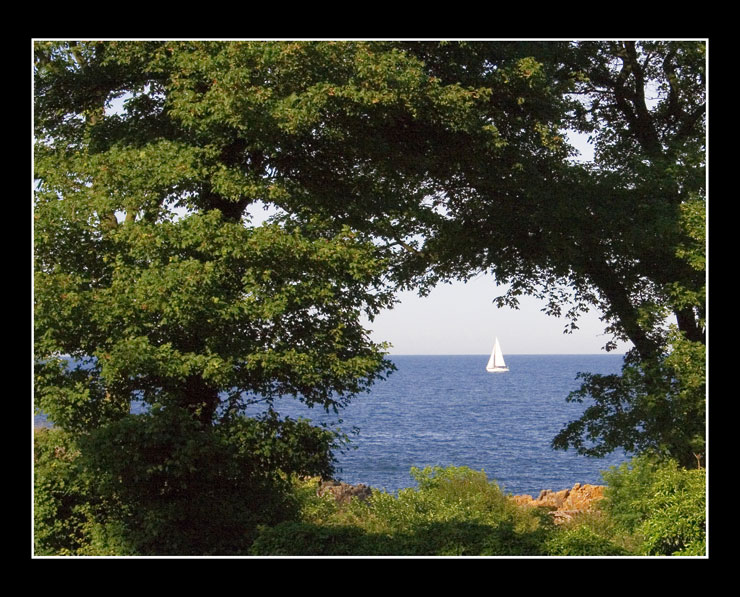 Sailboat through trees by Inge Orderud
