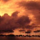 Sailboats in Fog