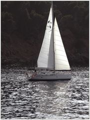 sailing