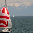 Sailing am Bodensee...