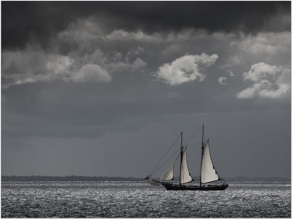 Sailing Beauty 2