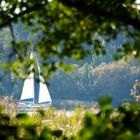 sailing between the woods
