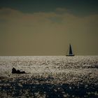 sailing boat