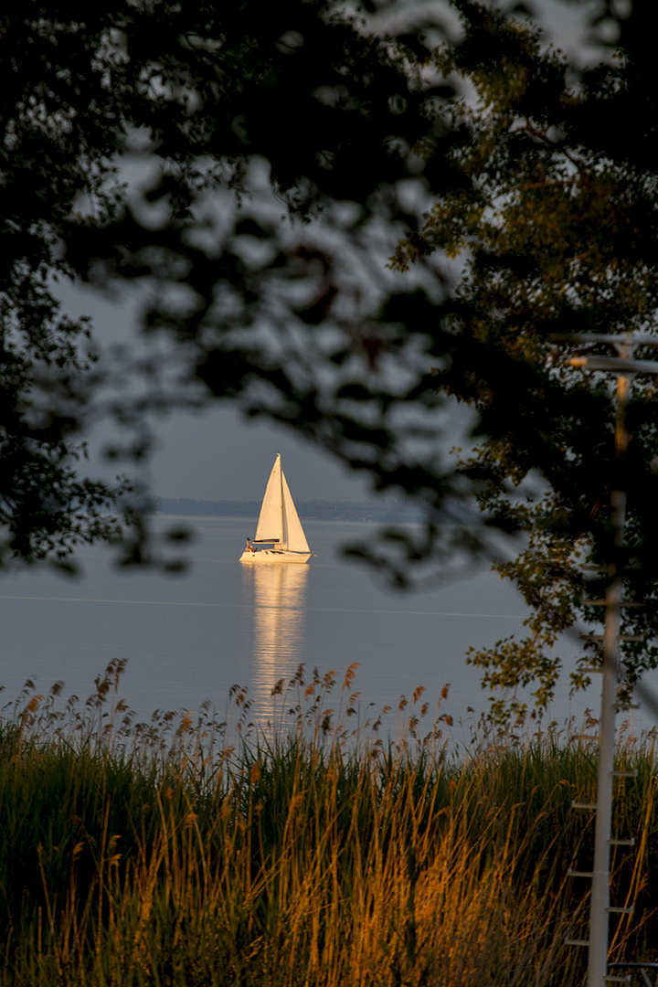 Sailing boat on Balaton