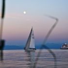 Sailing boat under the moon