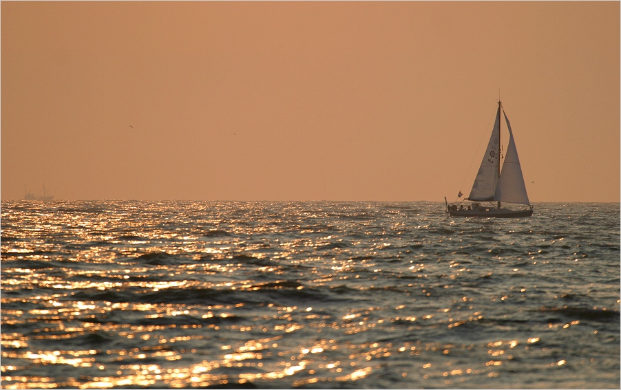 [ sailing ]
