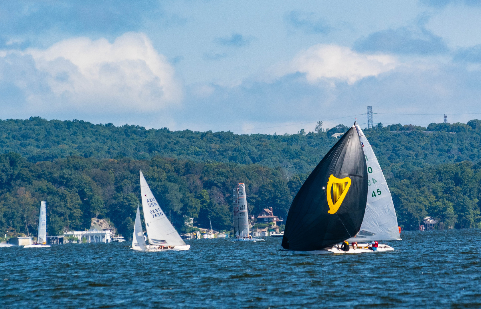 Sailing for Beer