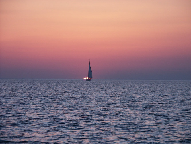 Sailing home