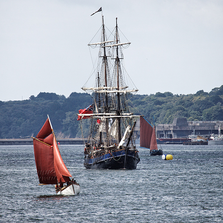 Sailing Home