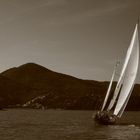 Sailing in La Spezia