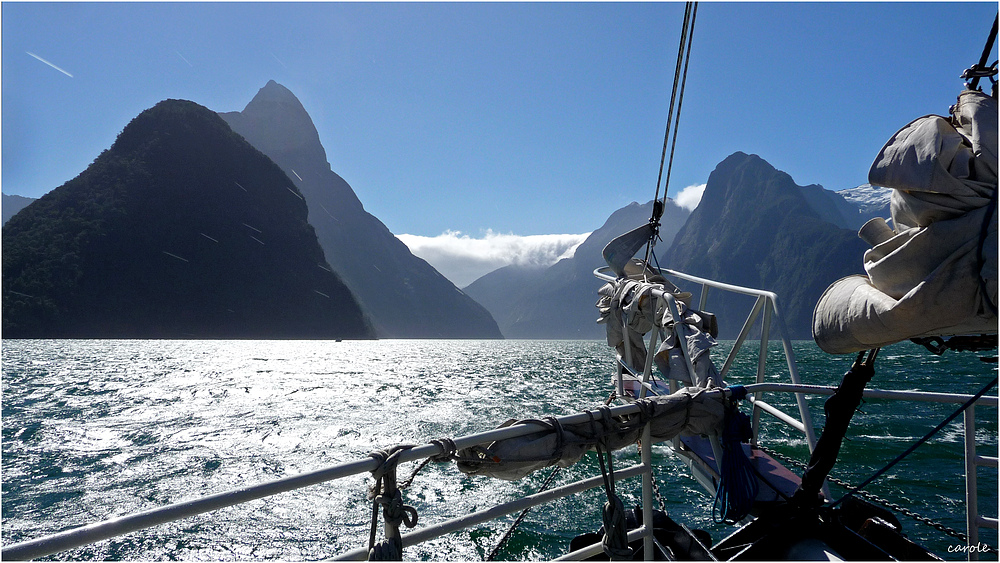 sailing in milford sound