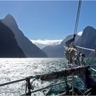 sailing in milford sound