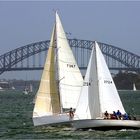 Sailing in Sydney...