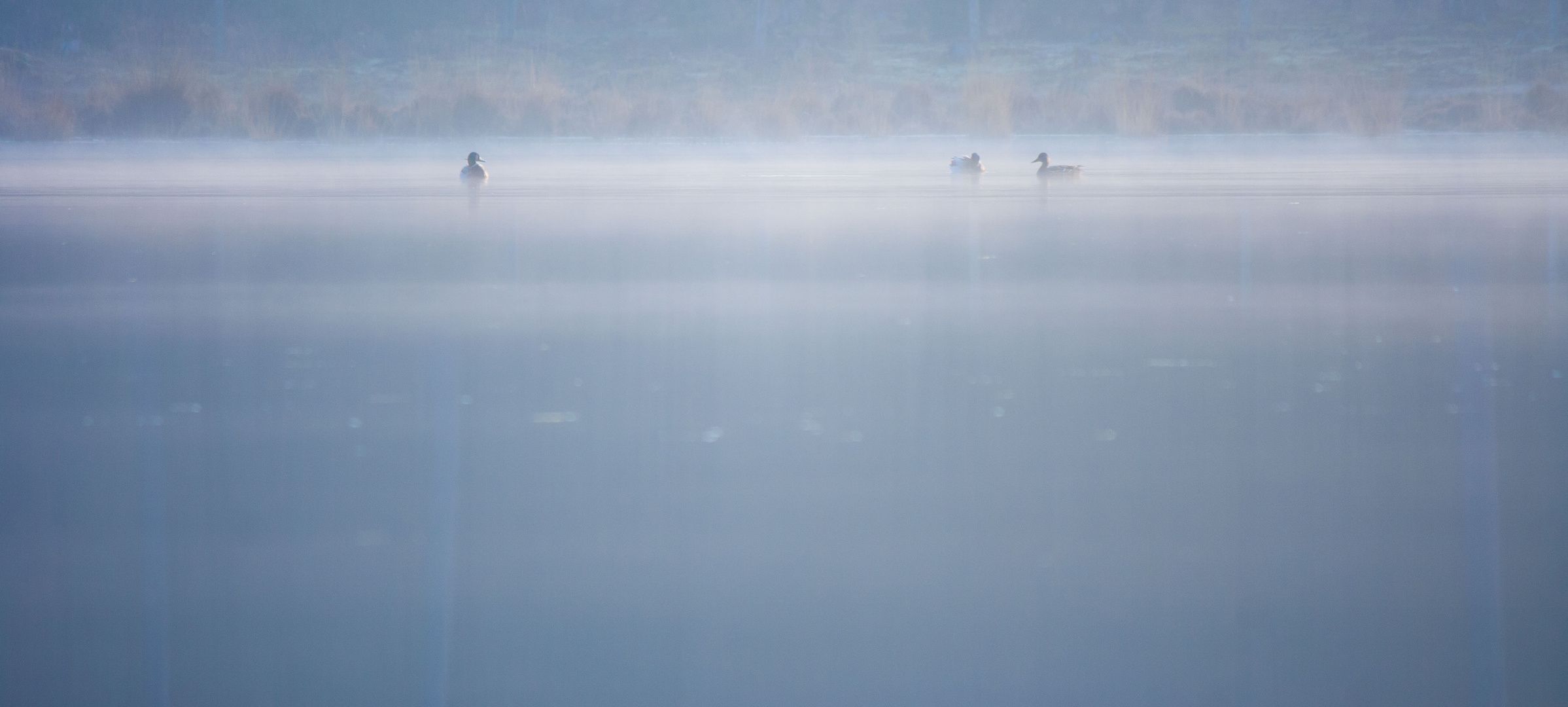 Sailing in the mist