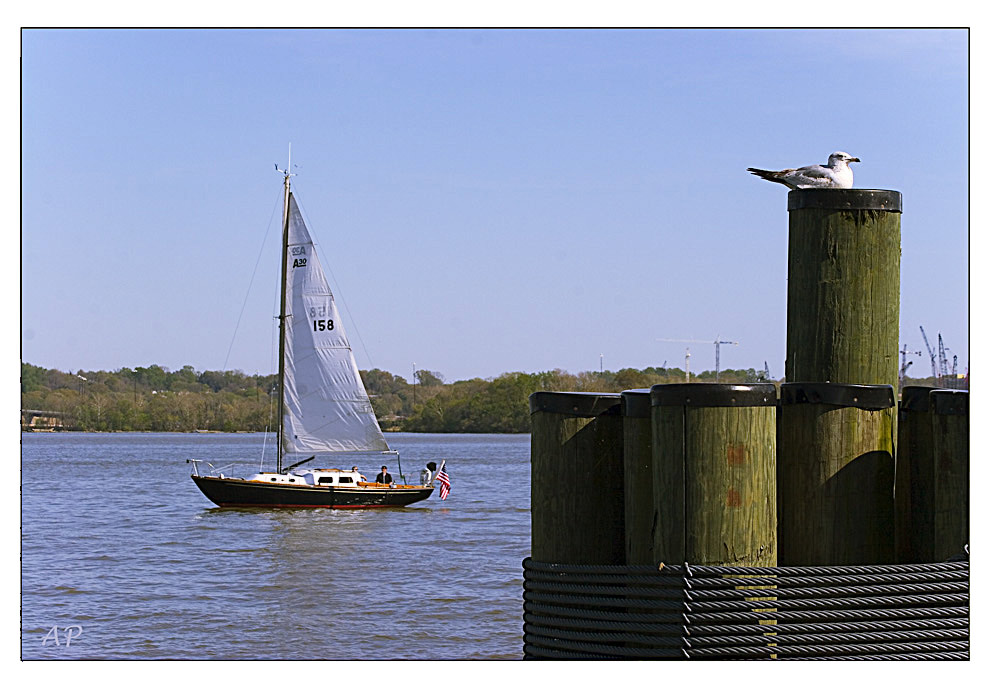 sailing on the Potomac river @ Alexandria, VA