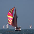 sailing race