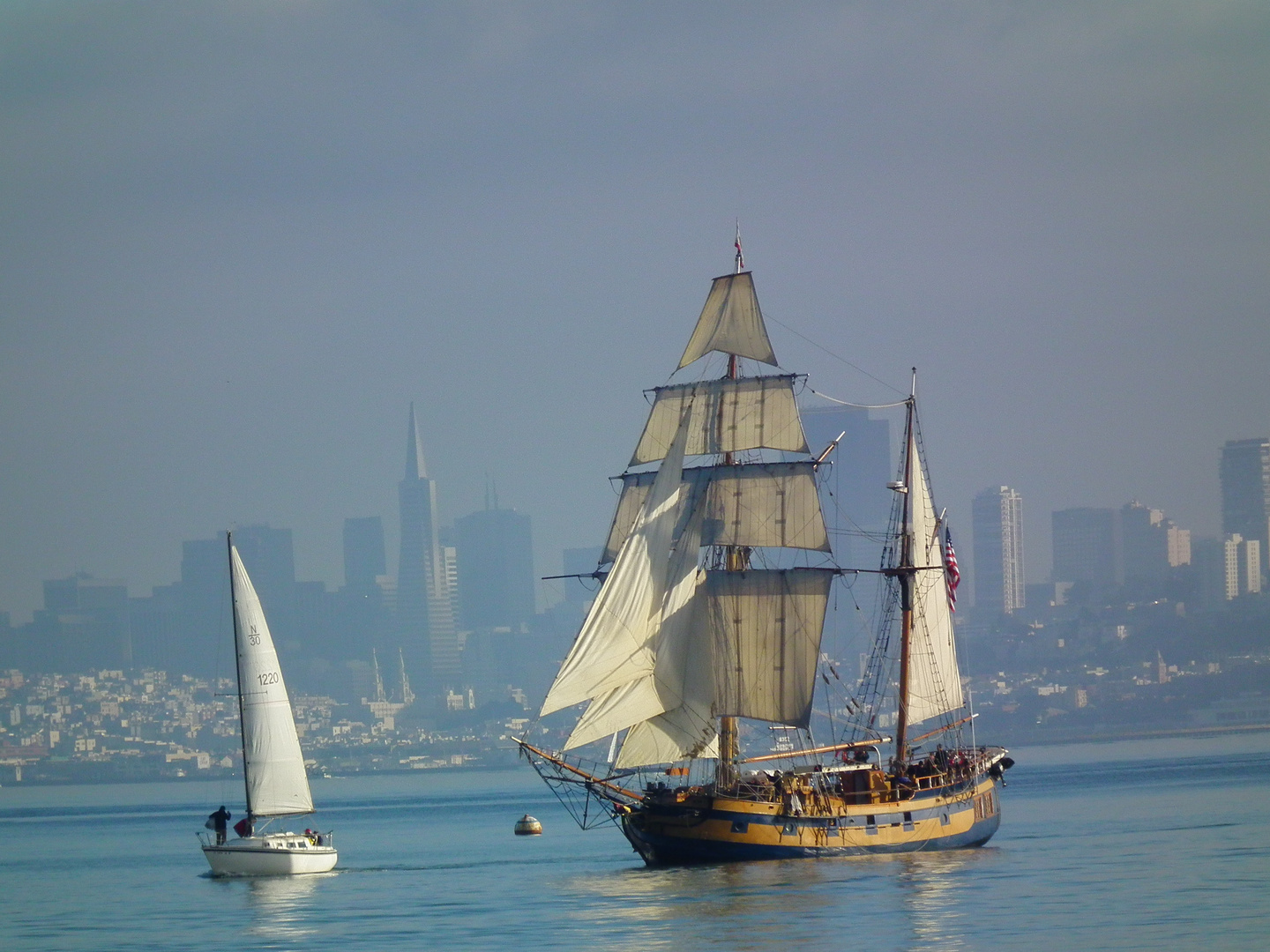 sailing San Francisco bay