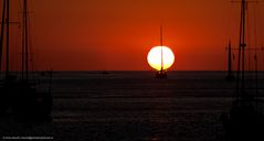 sailing sunset