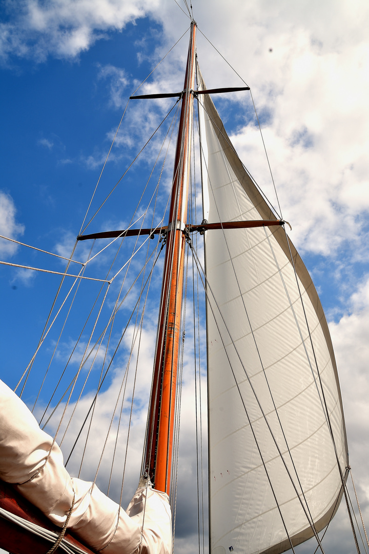 Sailing the baltic sea